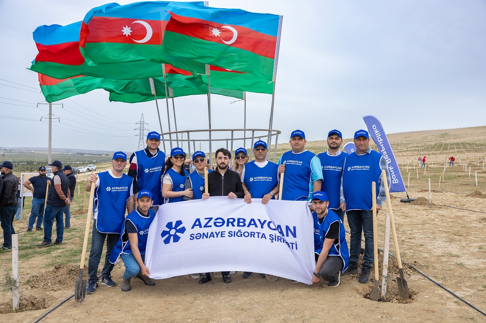 Azerbaycan-Senaye-Sigorta-Sirketi---Musfiqabad-qesebesinde-agacekme-aksiyasinda-istirak-edib